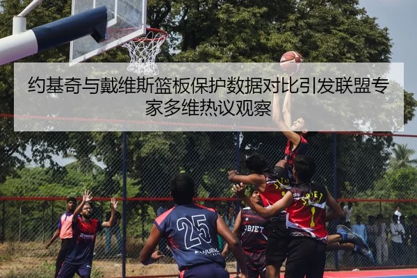约基奇与戴维斯篮板保护数据对比引发联盟专家多维热议观察